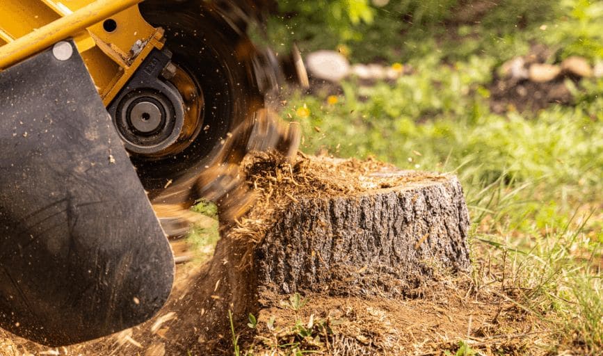 Stump Grinding